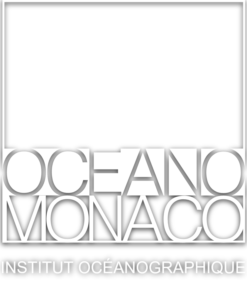 Oceano